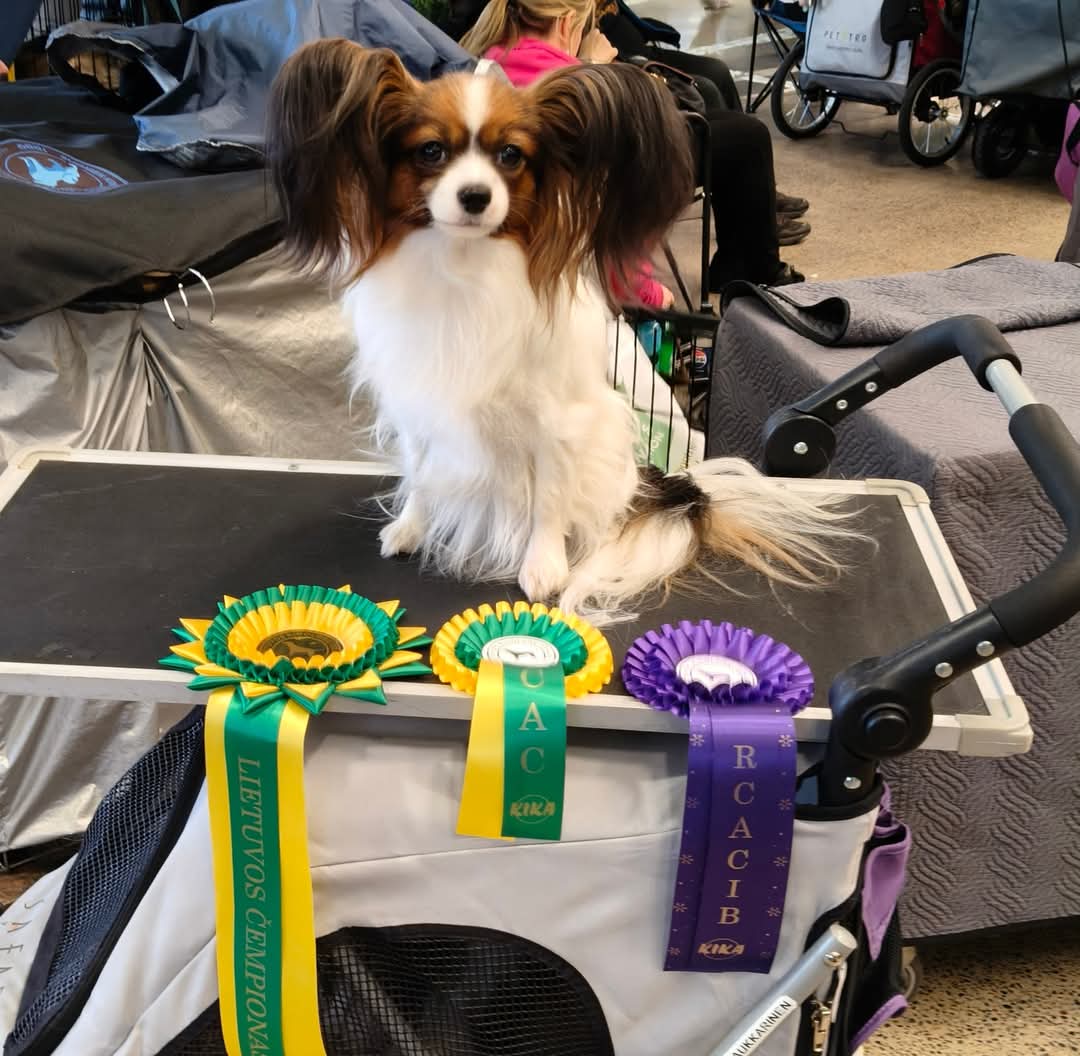 Kuunliljan Queen Of The Moon At Karpeak's "Aino"